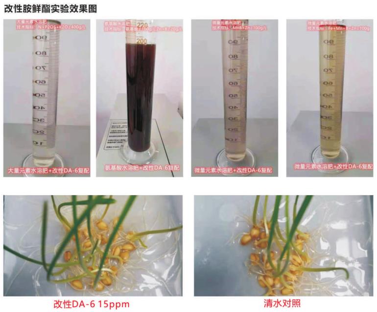 产品推荐系列——改性胺鲜酯(图3)