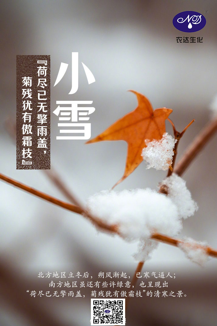 今日小雪(图1)